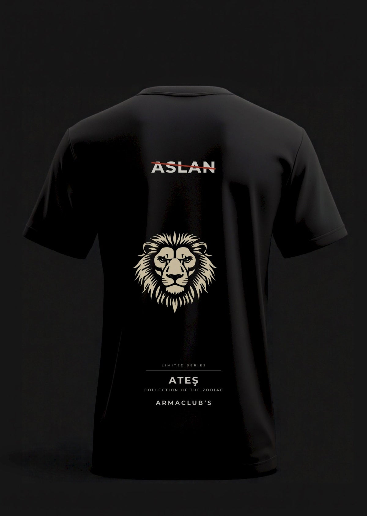 Aslan · Oversize Tee