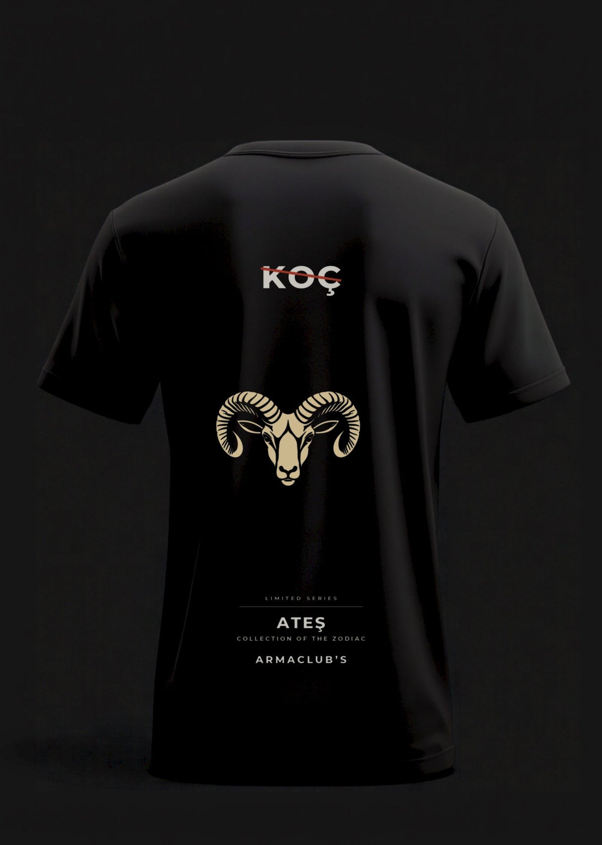 Aries · Camiseta Regular