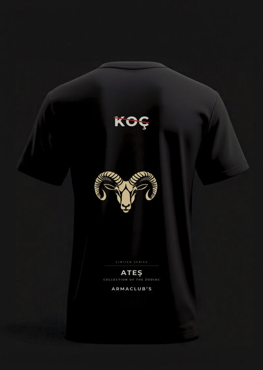 Aries · Camiseta Oversize